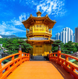 Orange and Gold Illustrated Dhanteras Festival Instagram Post 255 x 197 px 277 x 267 px 310 x 272 px 312 x 315 px 2