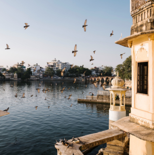 Orange and Gold Illustrated Dhanteras Festival Instagram Post 255 x 197 px 277 x 267 px 310 x 272 px 312 x 315 px 3